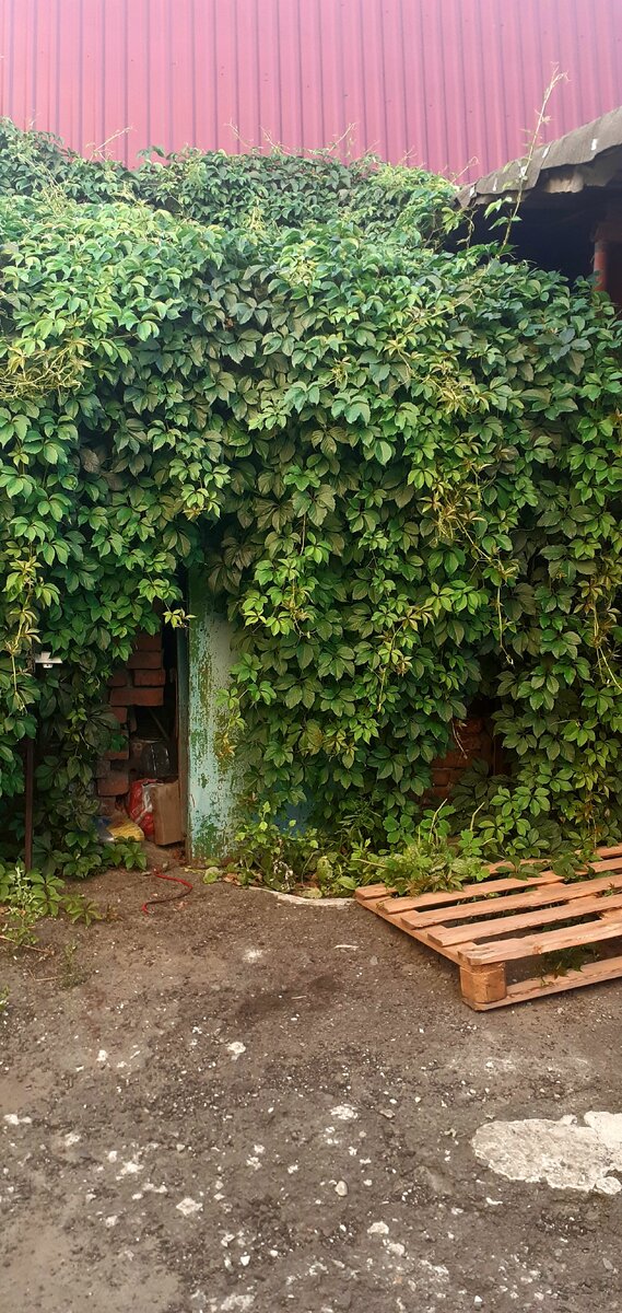 Сарай. История. Фото автора 