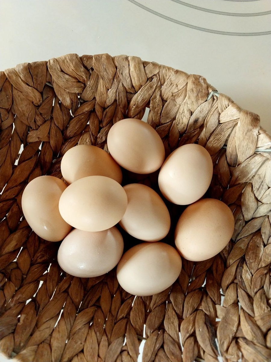корзинка домашних куриных  яиц