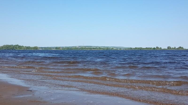 Высокий уровень воды в Волге обещает удачный нерест рыбы