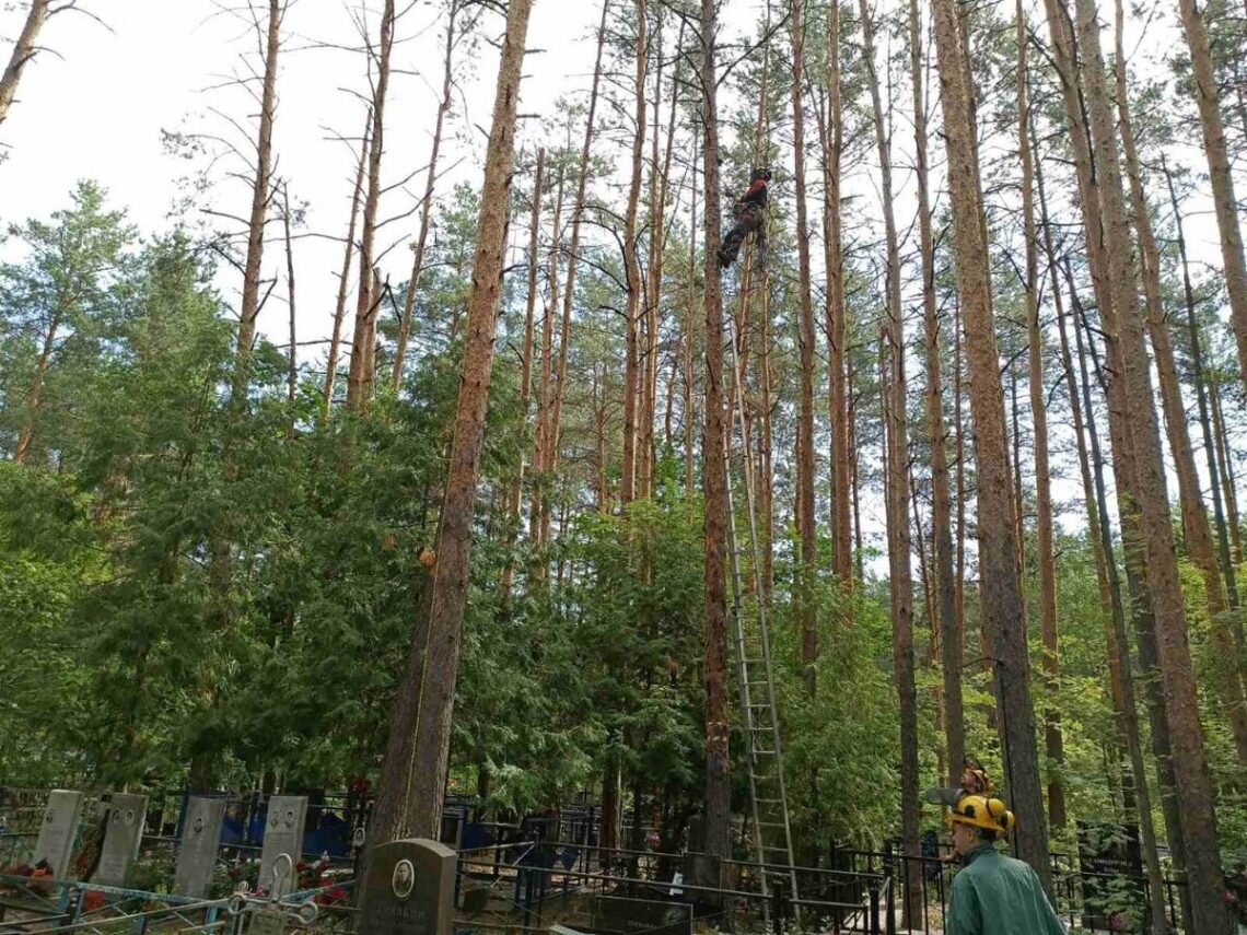 Центральное Долгопрудненское кладбище Церковь