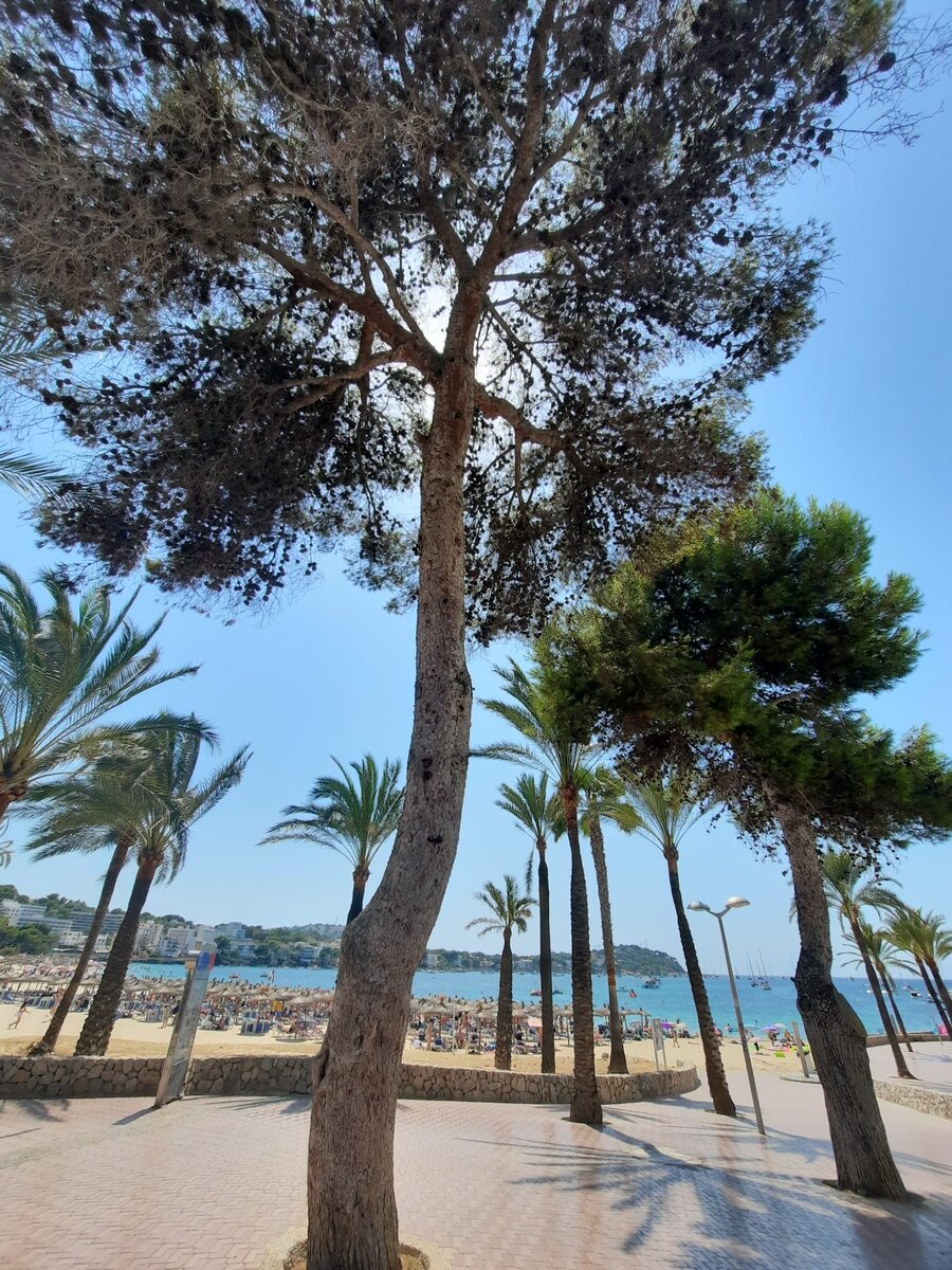 Майорка, 2023