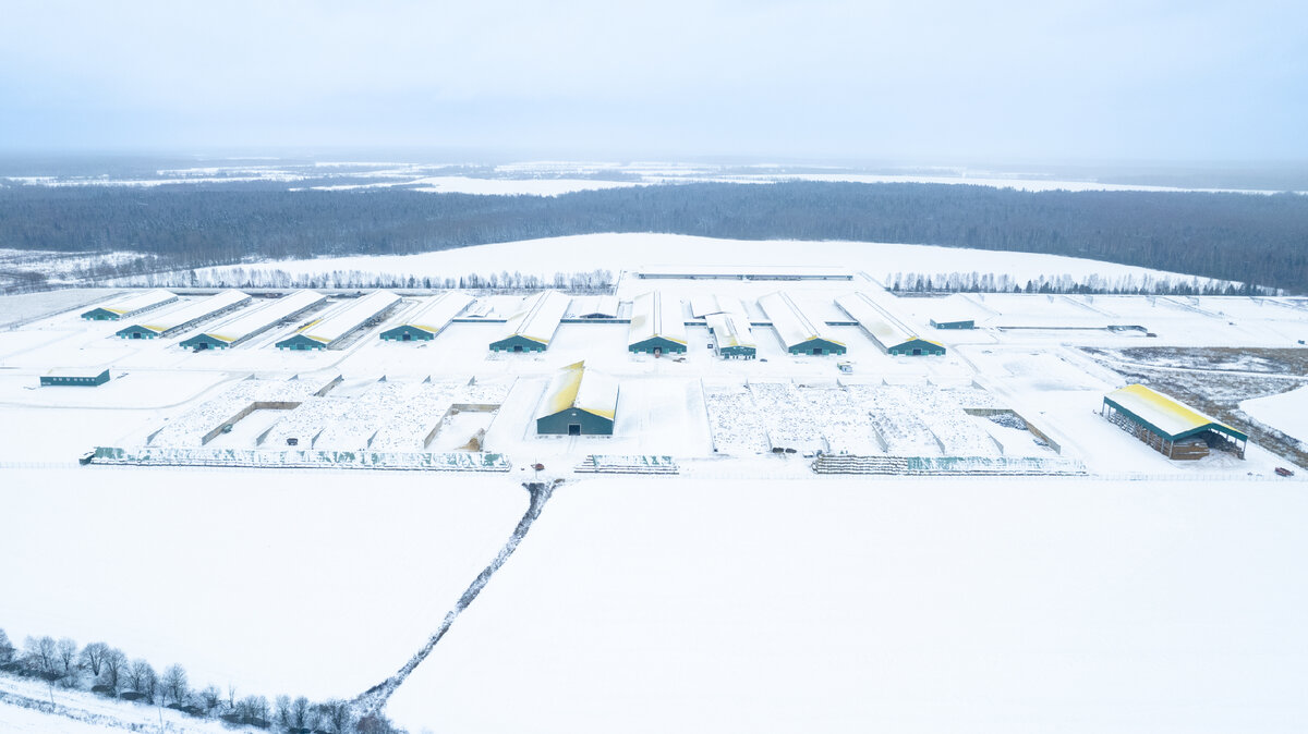 Конаково. От города энергетиков к городу-курорту? | В решетке Кристаллера.  Городские и сельские исследования | Дзен