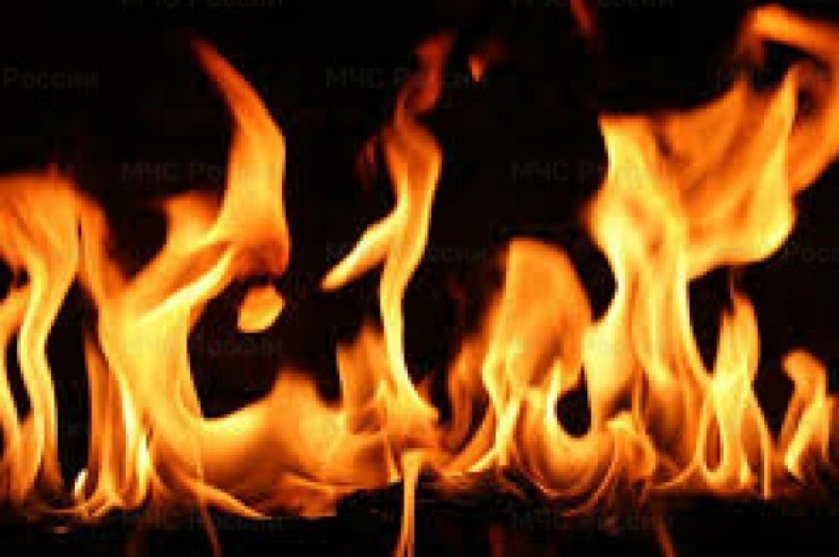    Житель Владивостока спас девочку, ее отца и кошку во время пожара