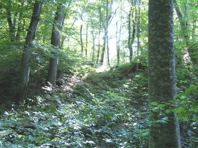 2. Фото с востока через ложбину между половинками