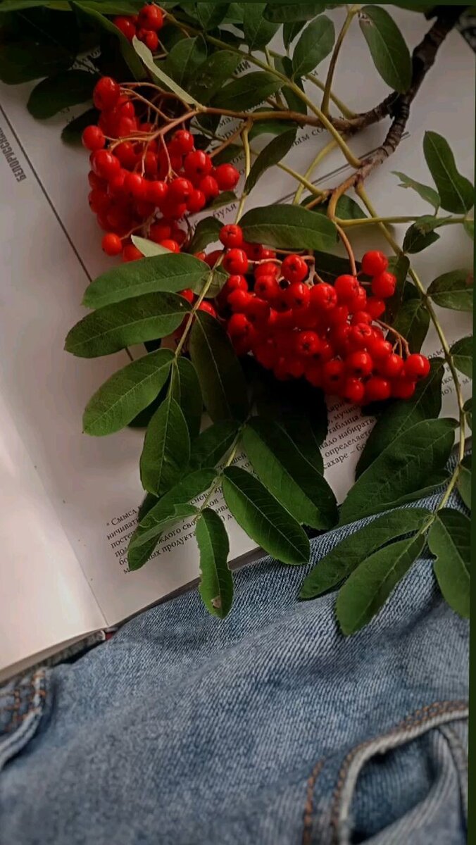 Взято из интернета