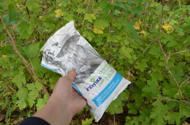 Подкормка крыжовника осенью.