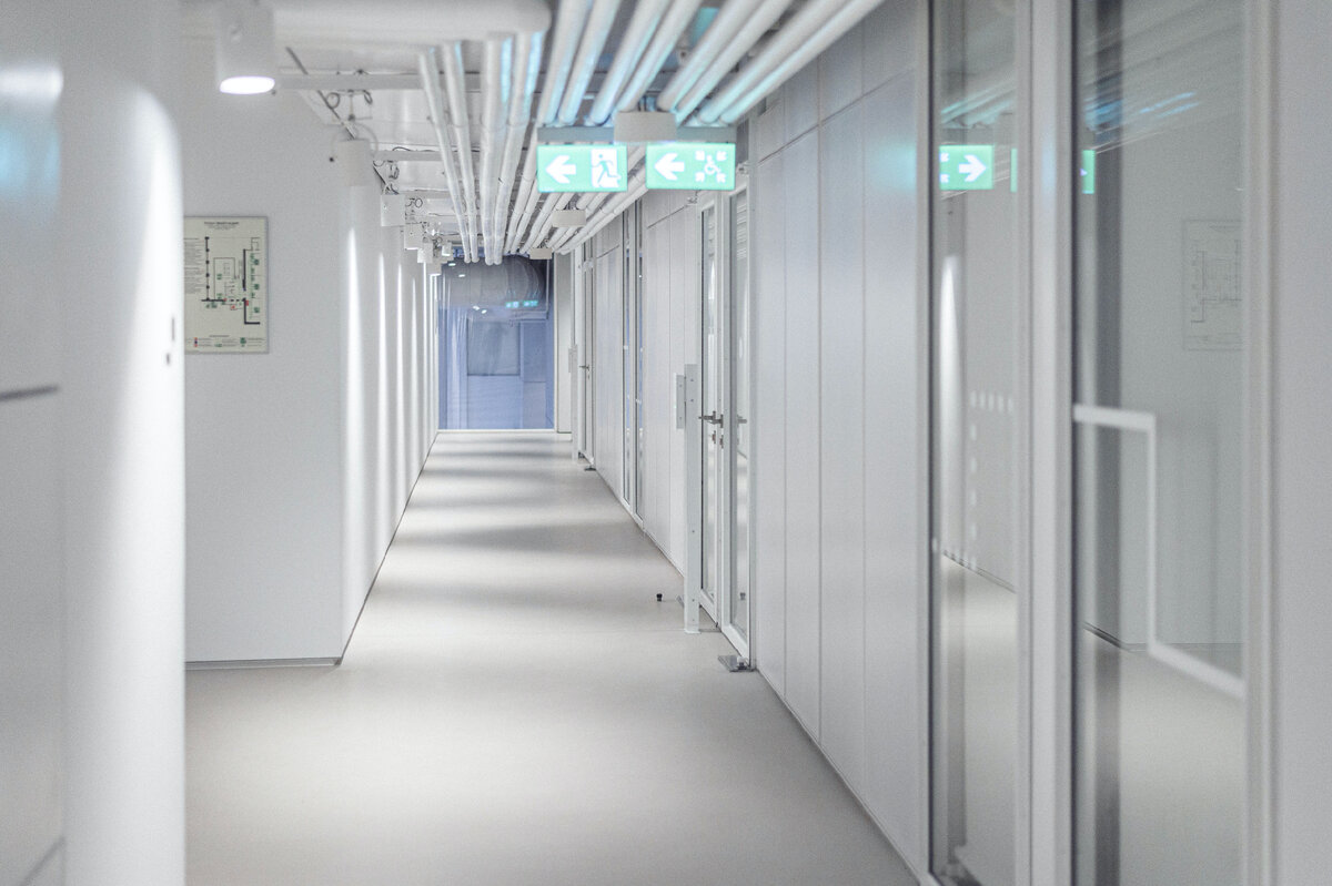 Иллюстрация - Unsplash.com