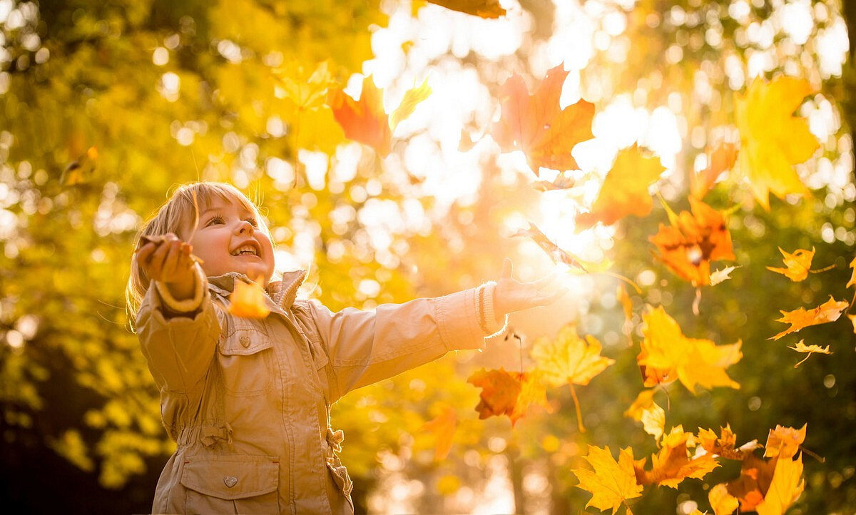 Врач Немальцева рассказала об опасностях детских игр с осенней листвой Во время золотой осени становятся популярными фотосессии в красочных листьях, а дети любят играть с ними.