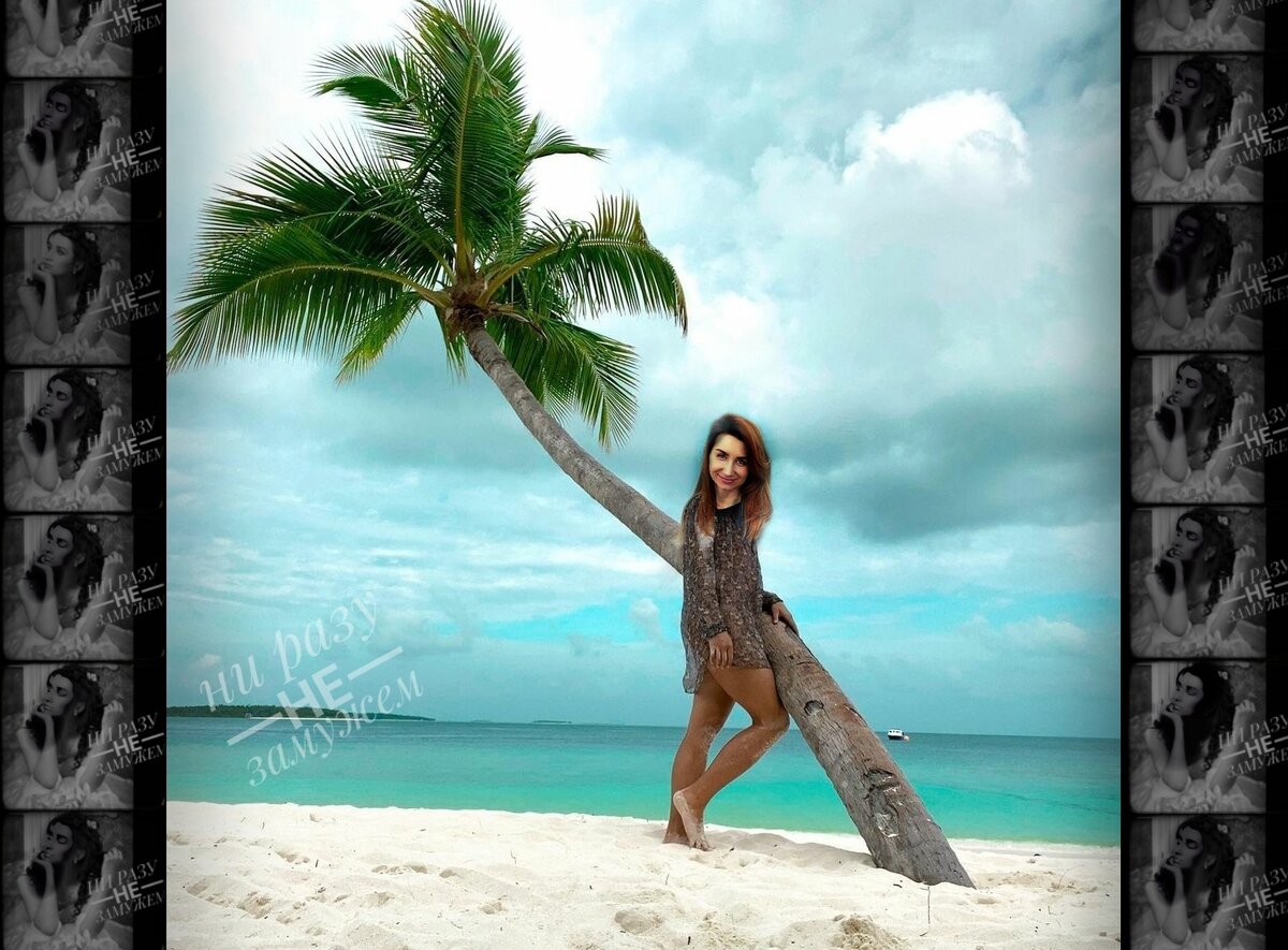 Пальма, на которой он мог повеситься 