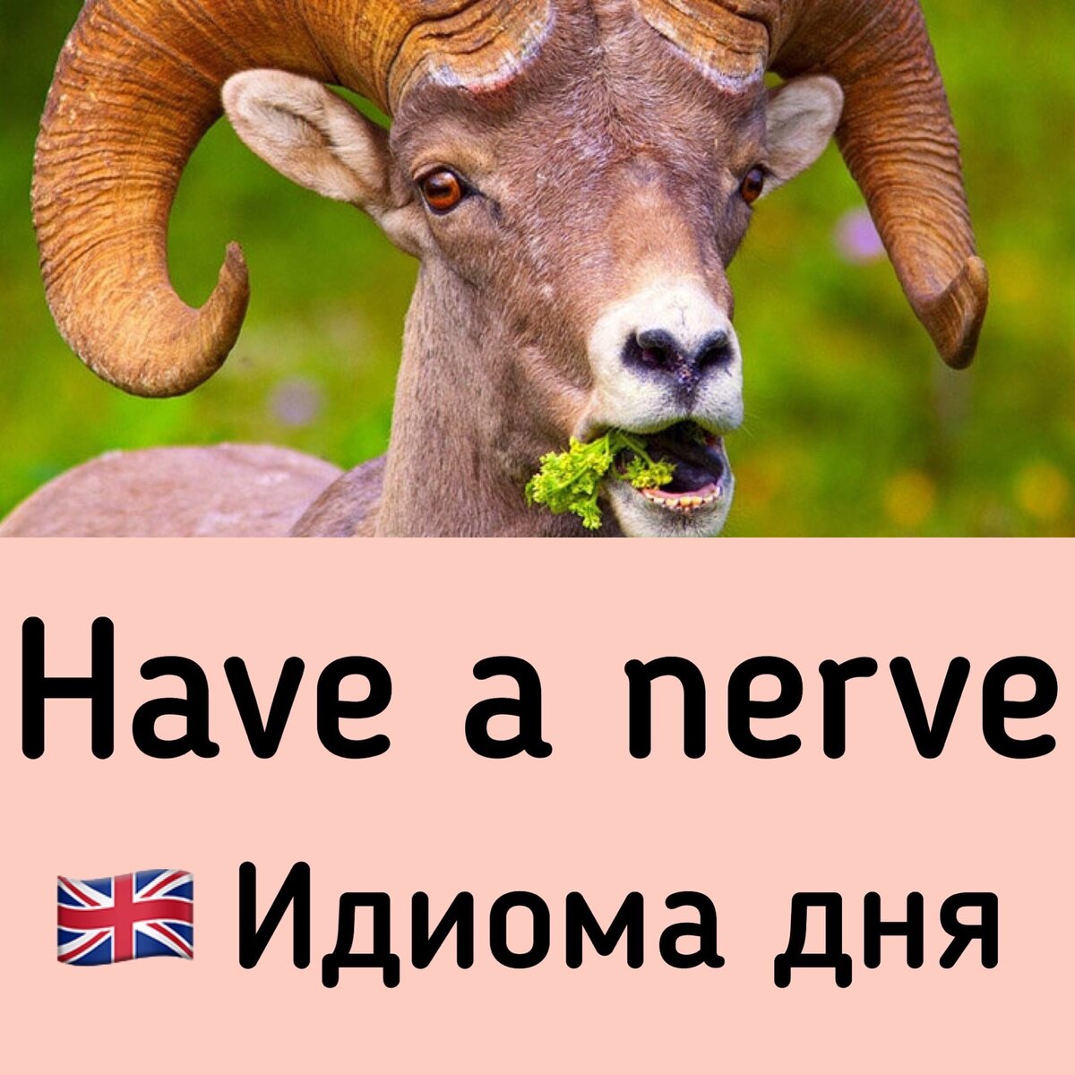 Уникальная картинка автора