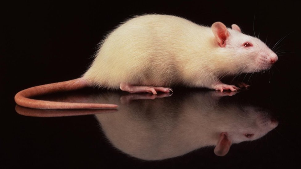 Источник: яндекс картинки