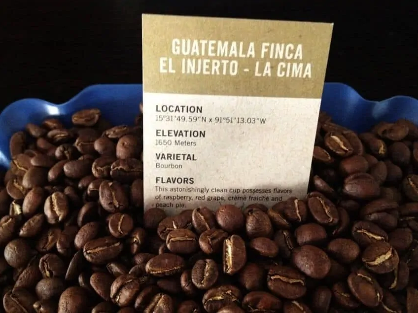 Finca El Injerto