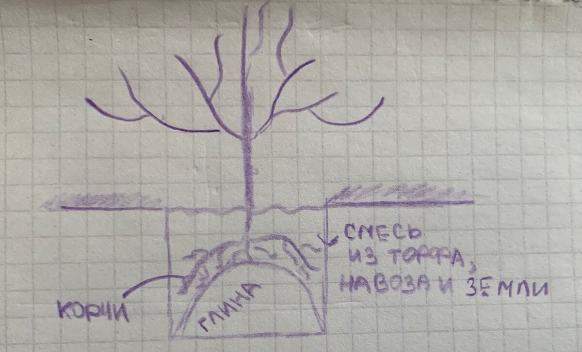 Схема посадки 