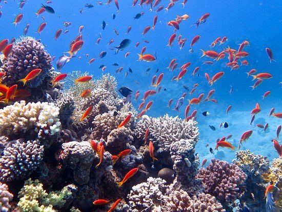 Фото: TripAdvisor.ru