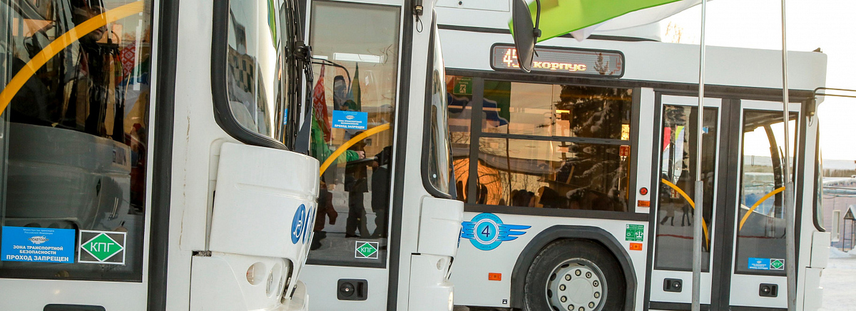 Фото: Павел Комаров, nsknews.info