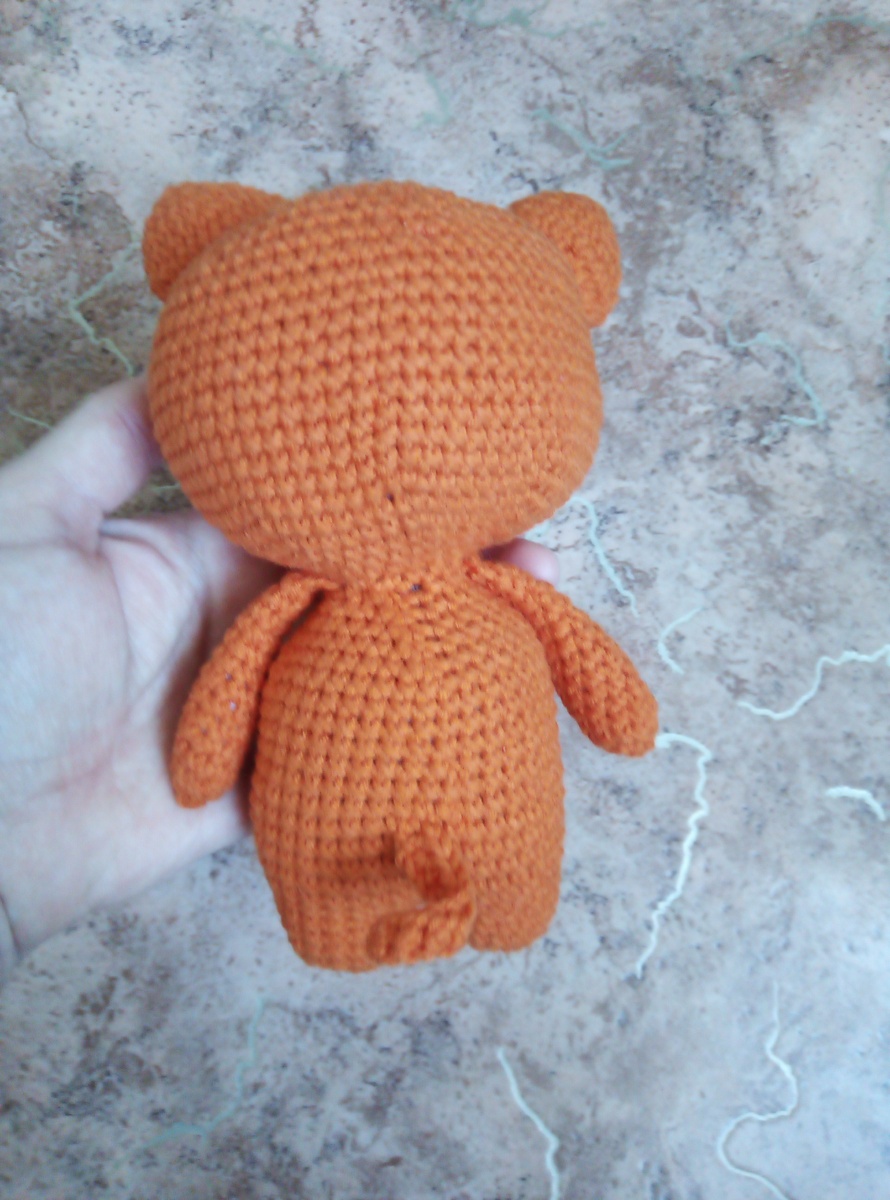 Котик, вид сзади