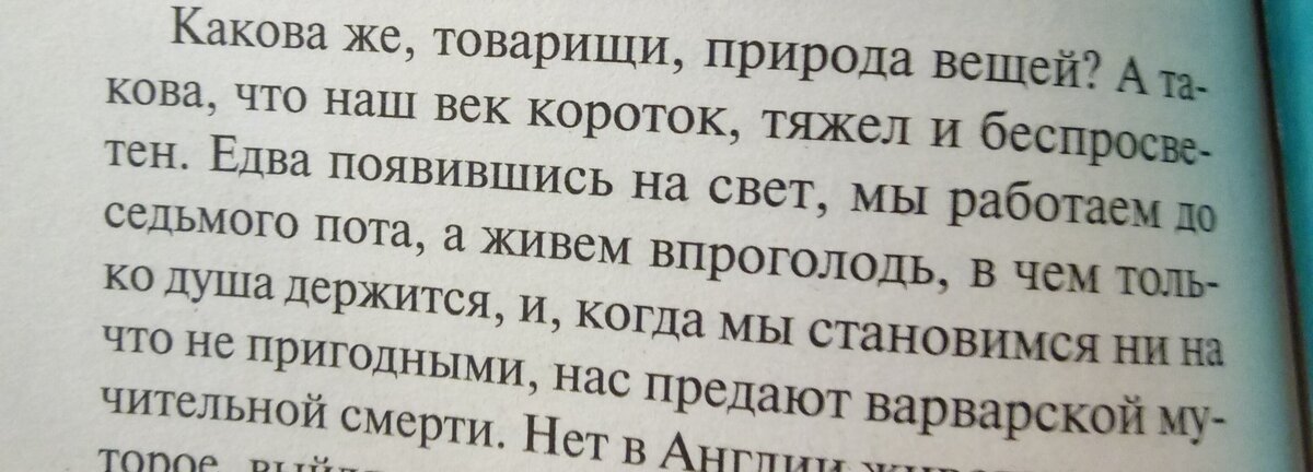"Скотный двор" 