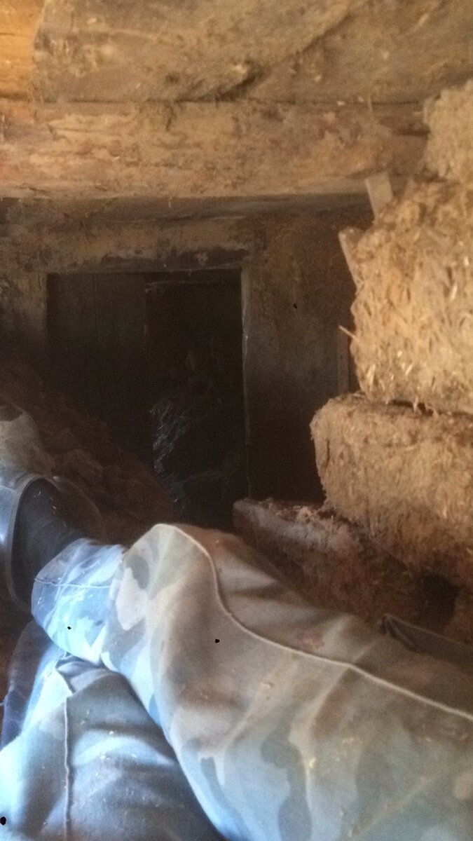 Зачищаю бревно лежа под ним в  траншее под фундамент. Слева улица, справа подвал. 