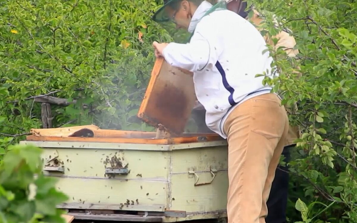 Работа с рамками в саду