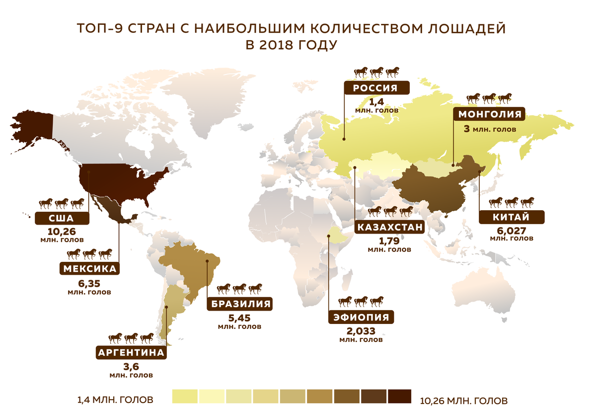 Самое большое число голов. Страны Лидеры по поголовью лошадей. Коневодство в мире карта.