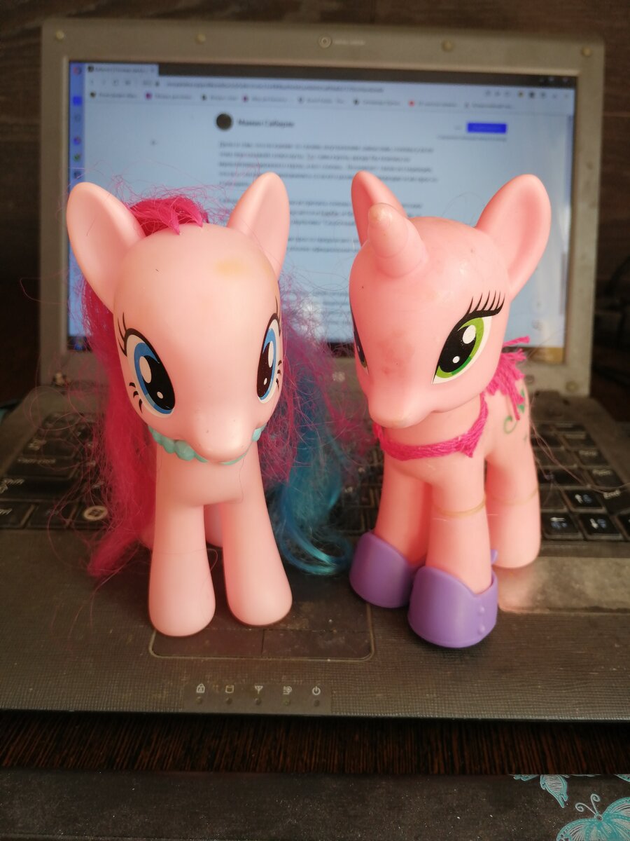 Две китайские пони, купленные на рынке в Малайзии