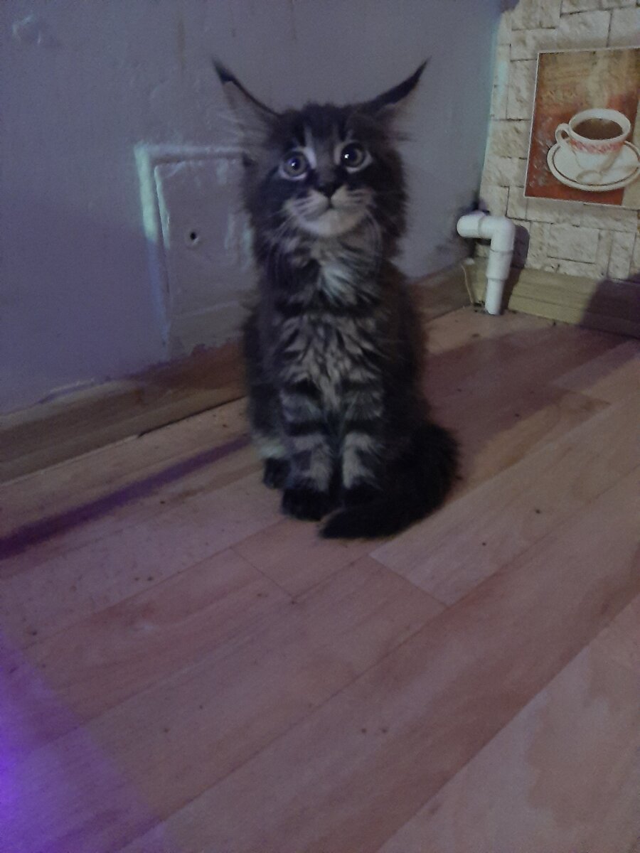 Греция 2 месяца