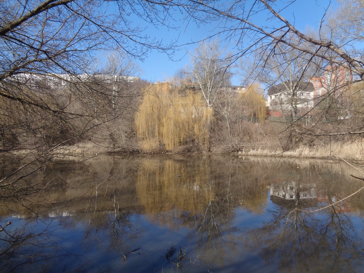 Река Тускарь. Весна.