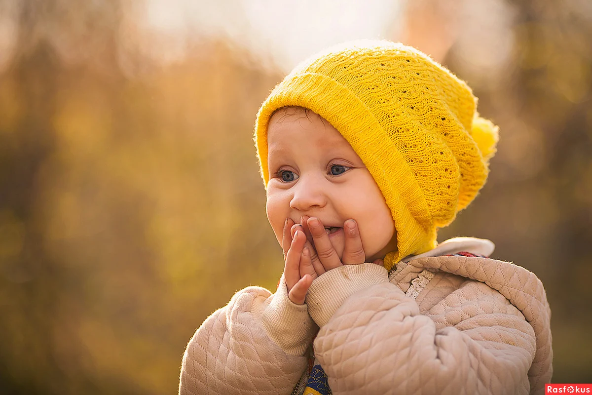 Источник: Yandex.ru 