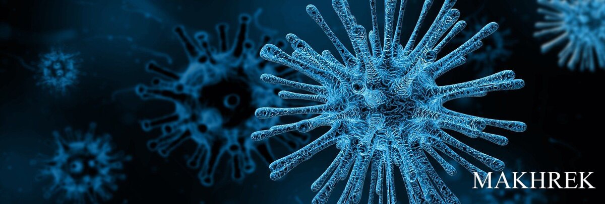 Интересные факты и теории о вирусах, о которых возможно вы не знали