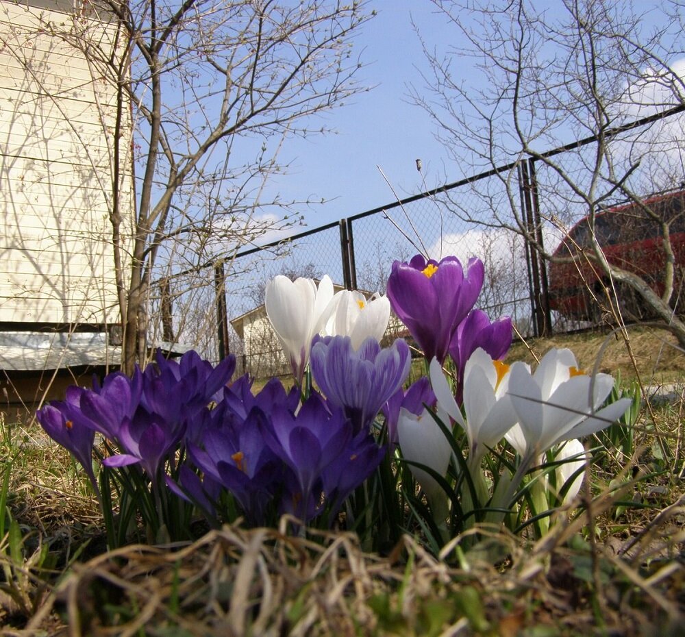 Фото взято из общего доступа