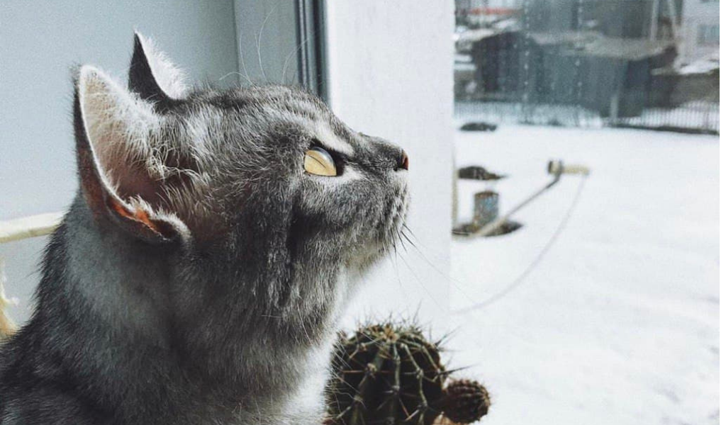 а это уже вырос