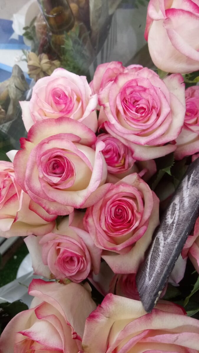 Какая нежность нежная...