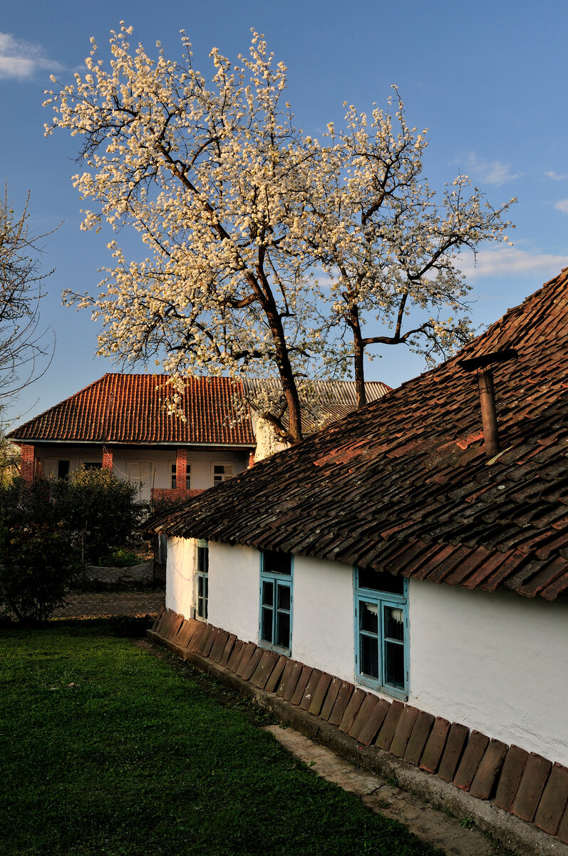 Фото: Алексей Пивоваров