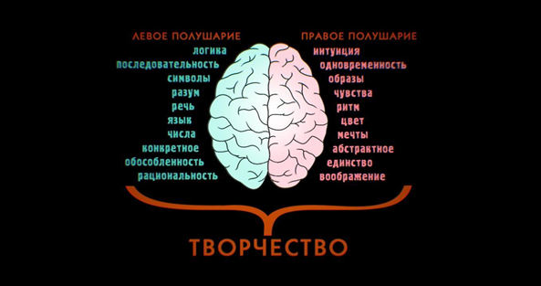 Полушария мозга. Левое и правое полушарие мозга мышление. Два полушария мозга. Игры развивающие левое полушарие. Тест правое полушарие