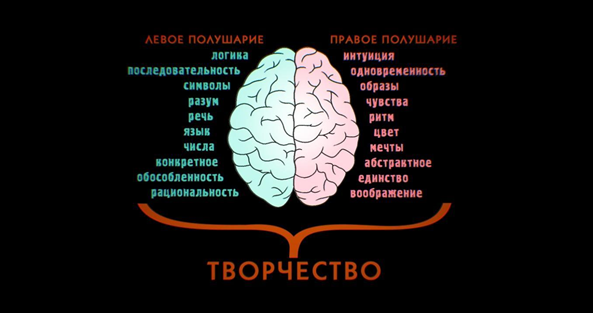 Проверка полушарий мозга картинка