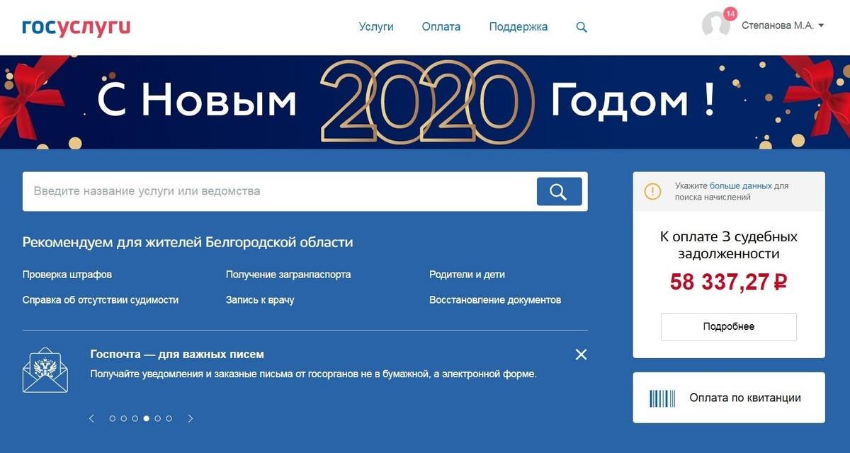 Сейчас долгов у моего двойника стало гораздо меньше. Но я по-прежнему вижу их в своем личном кабинете на портале госуслуг