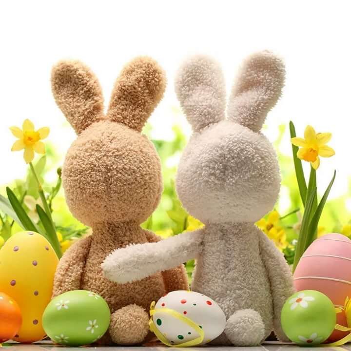 Фото для обложки. 