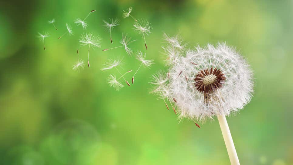 Photo: Brian A Jackson (Shutterstock)