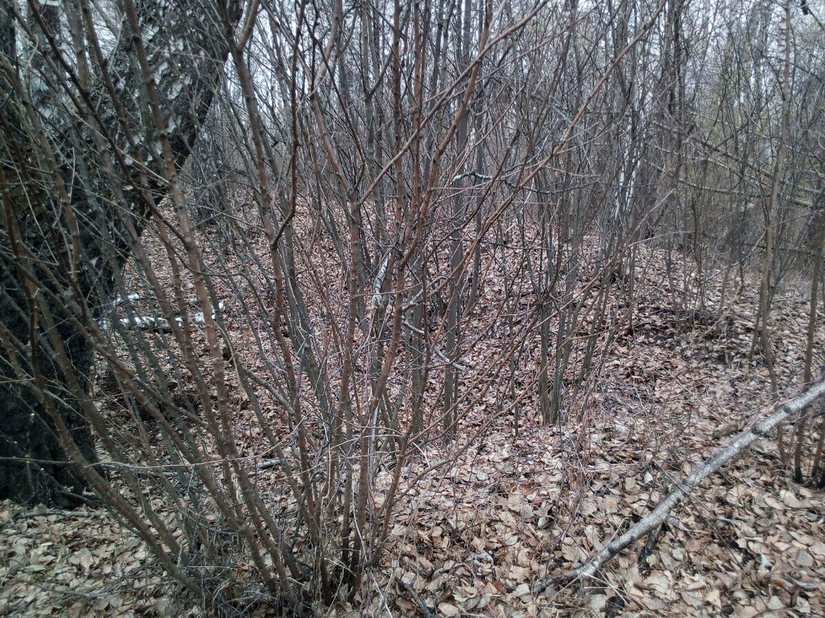 Фото из личного архива