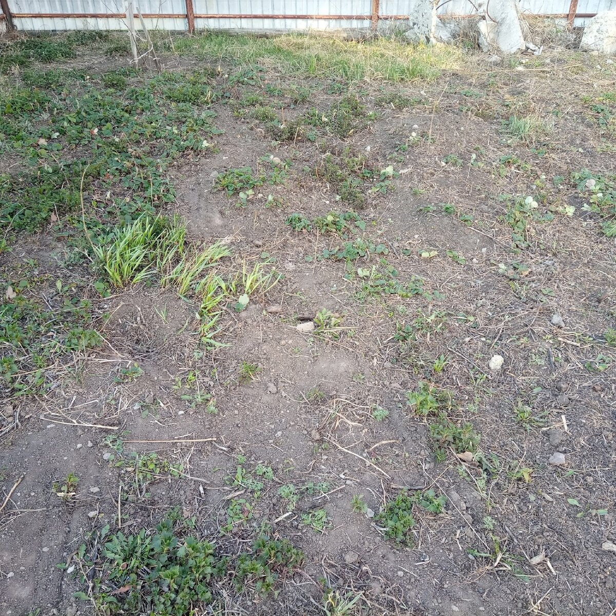 и после того, как я граблями прошлась