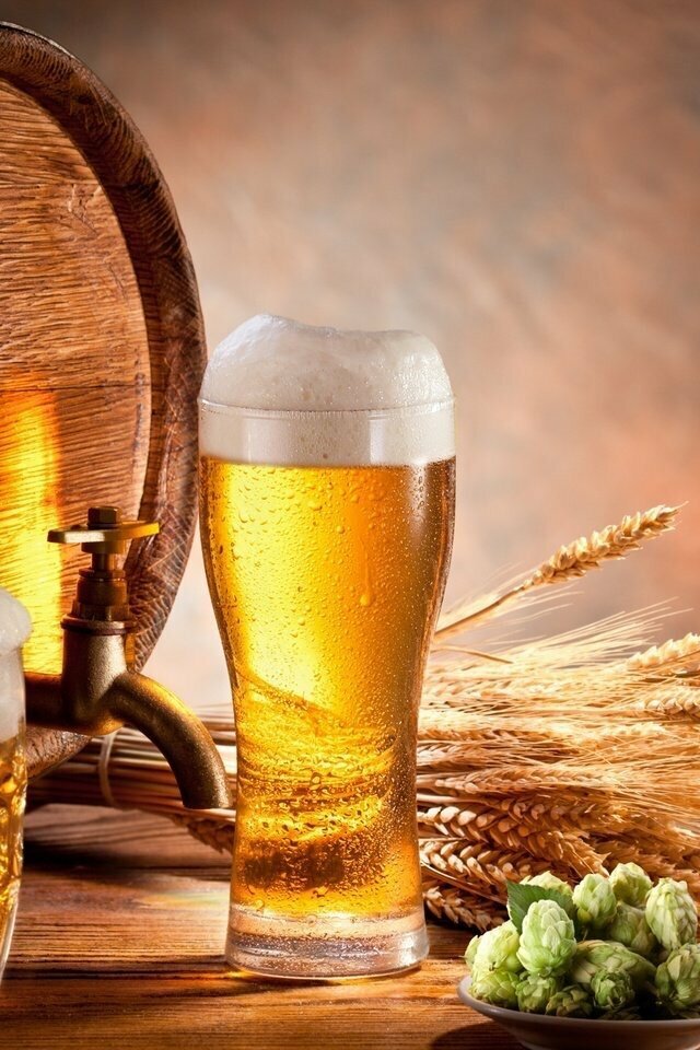 Пиво. Фото взято из открытых источников.