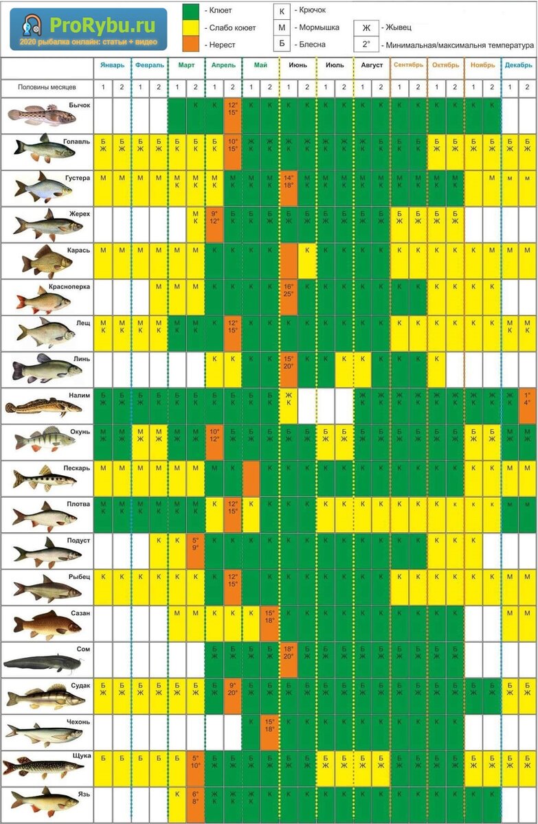 Календарь рыбака на год по месяцам. Где ловить и на что клюёт рыба. | Это  интересно! | Дзен