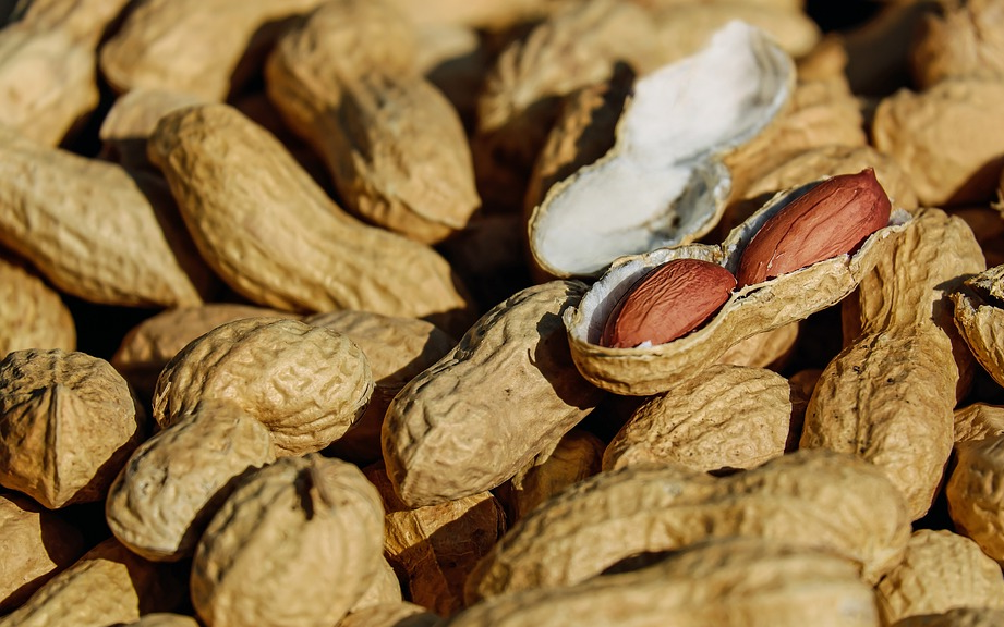 Арахис поспел и готов к столу.    источник фото:Pixabay.com