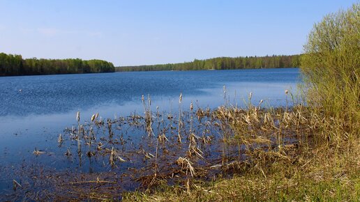 Красота марийских озер - Молевое