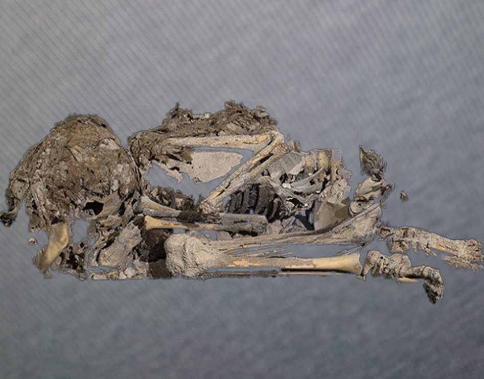 Мумия ребёнка, обнаруженная в 2021 году. Фото Управления древностей Израиля. 