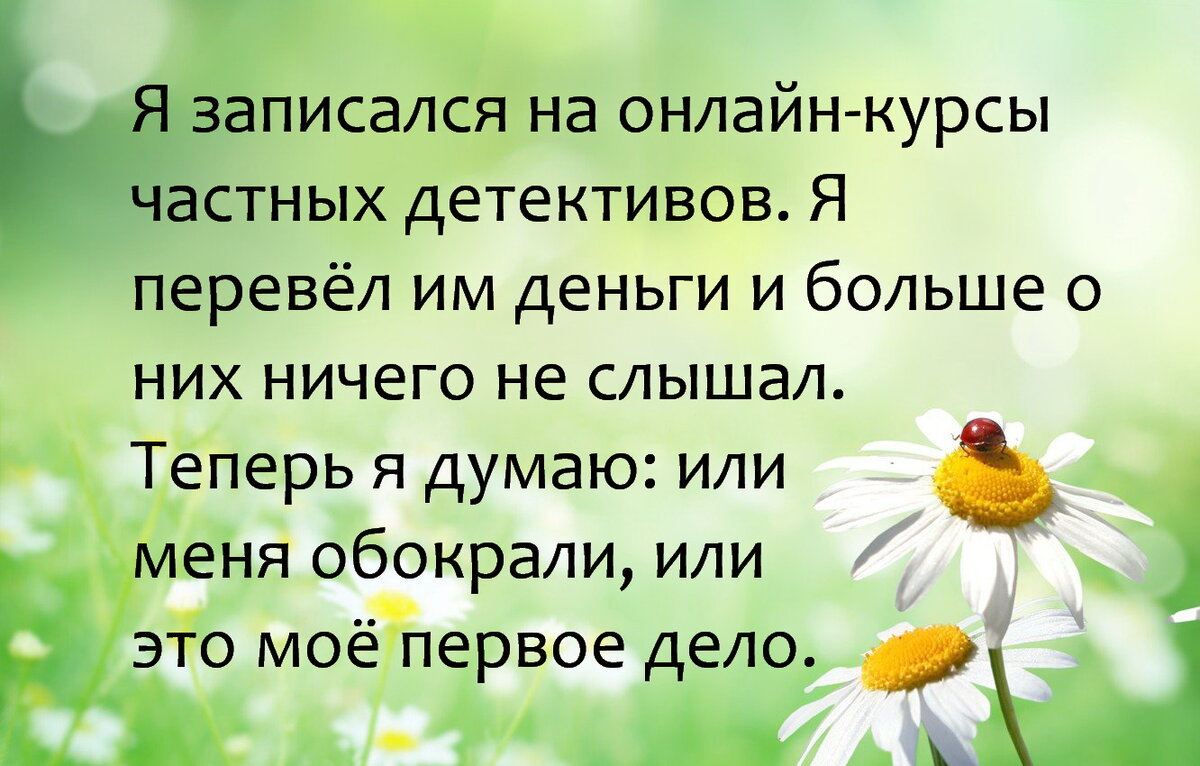 Избегать акул довольно просто. Вылезайте из воды, если слышите зловещую  музыку😄Шутки здесь. | Юморные просторы | Дзен