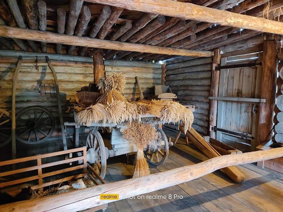 // Julia Mostinkovich