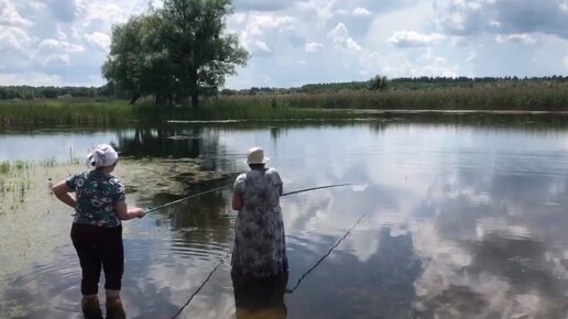 10 к 1 победили удочки - рыбалка с семьей на р. Мжа