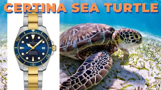 Certina DS Action Diver Sea Turtle - яркий дайвер в защиту морских черепах