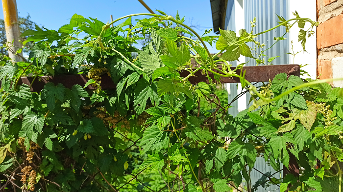 И добавить не чего, личный архив